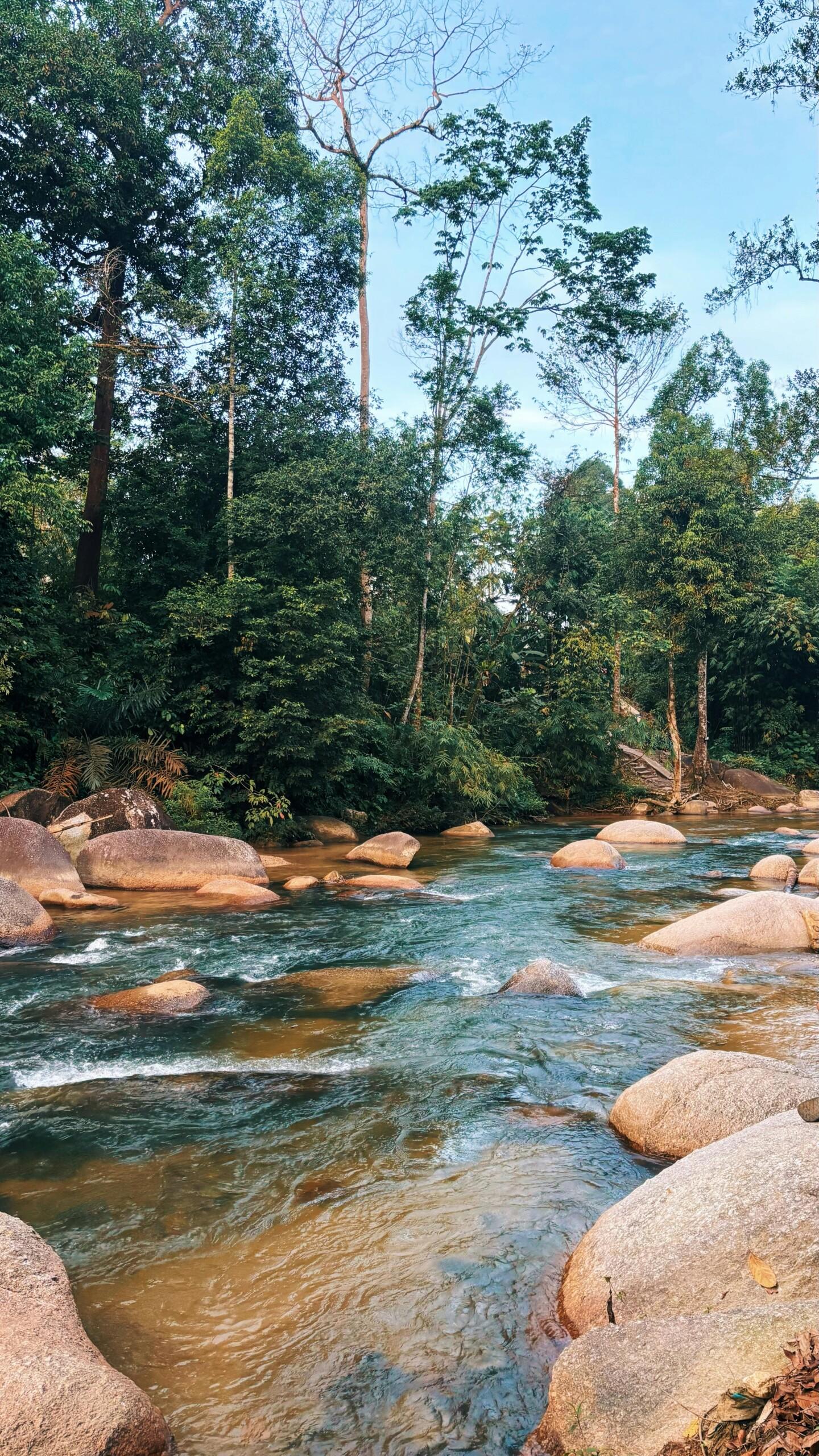 Bentong and Janda Baik Wellness Retreat Day Tour