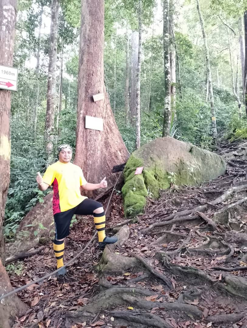 Mount Santubong Hike, Sarawak - Image 2