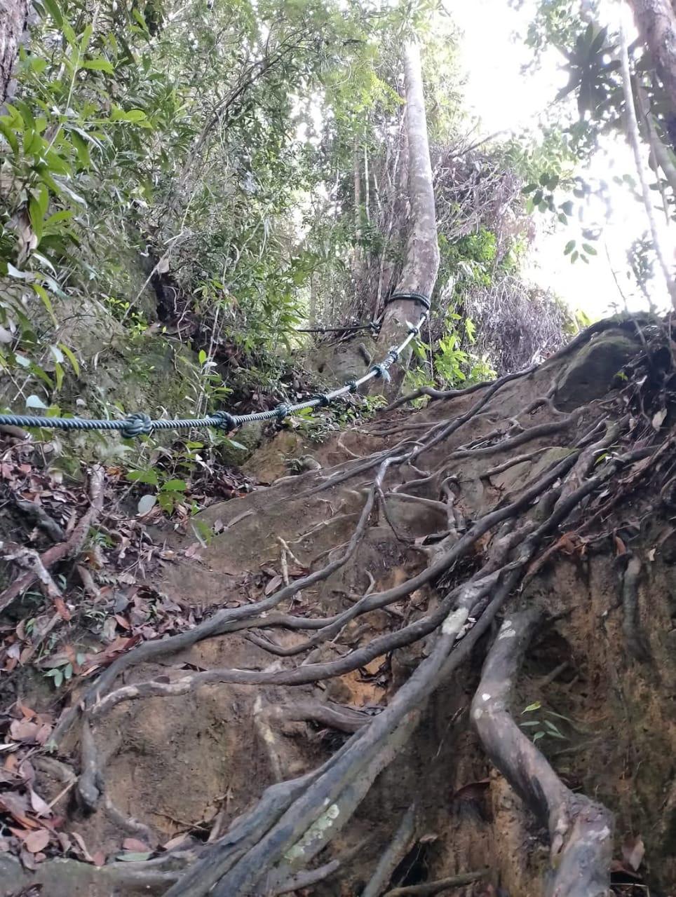 Mount Santubong Hike, Sarawak - Image 4