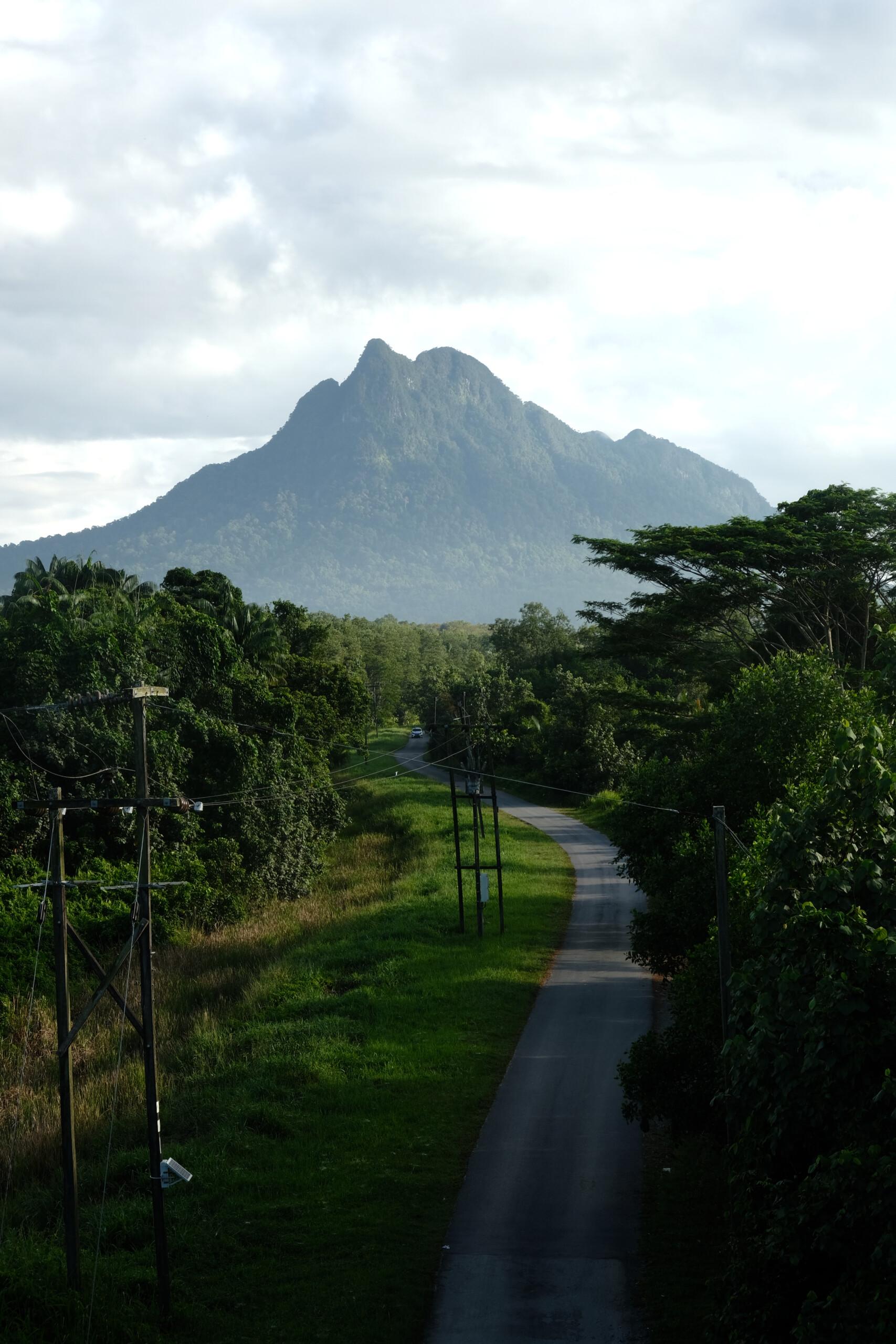 Mount Santubong Hike, Sarawak - Image 8
