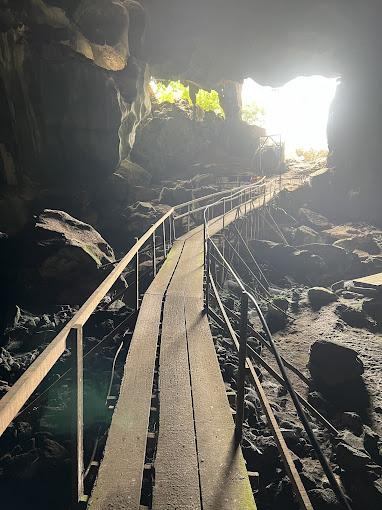 Gua Sireh Exploration & Trekking Experience - Image 8