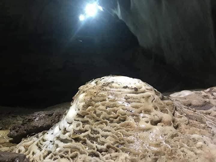 Gua Sireh Exploration & Trekking Experience - Image 6