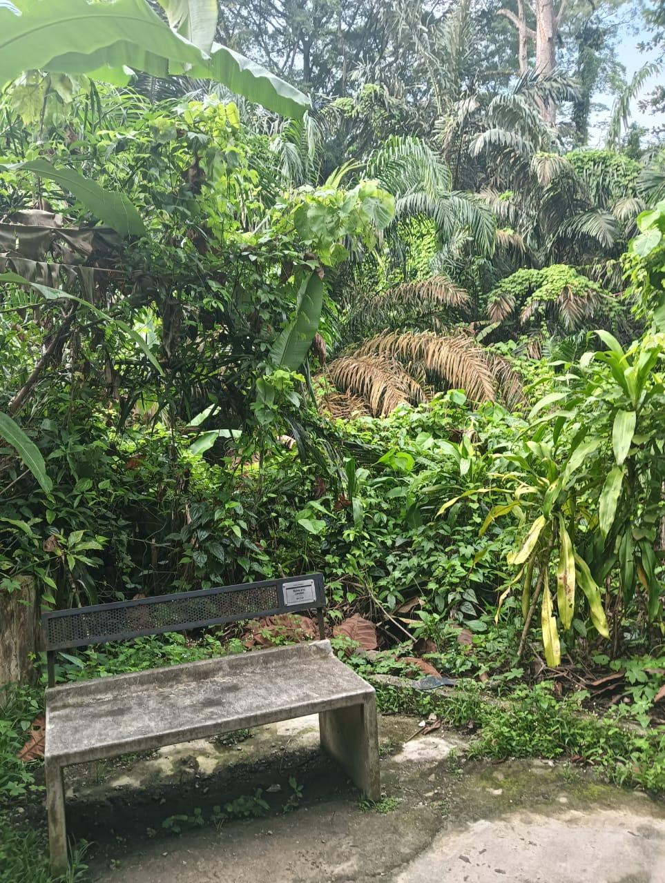KL City Hike Tugu Trails - Image 17