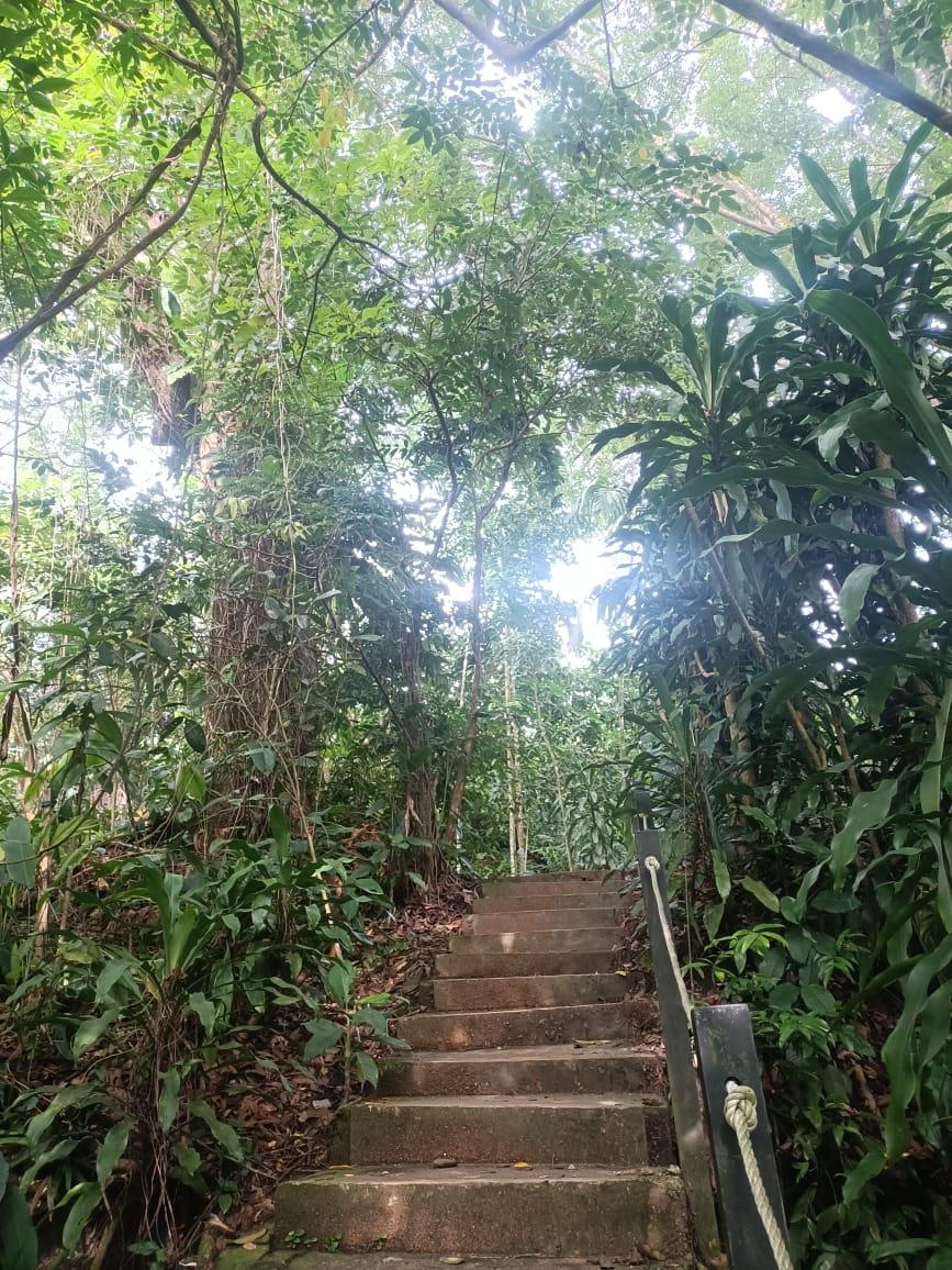 KL City Hike Tugu Trails - Image 8