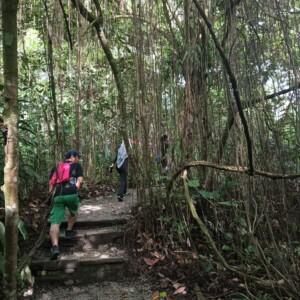 KL City Hike Tugu Trails