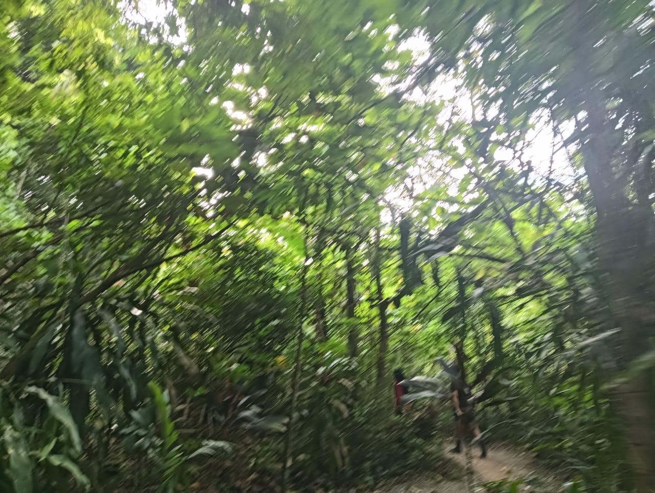 KL City Hike Tugu Trails - Image 5