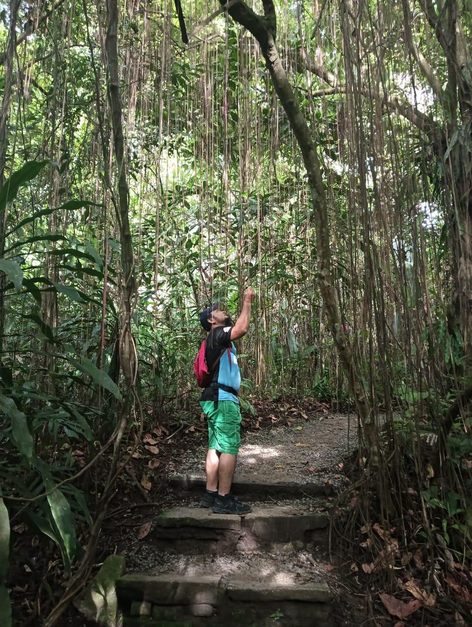 KL City Hike Tugu Trails - Image 2