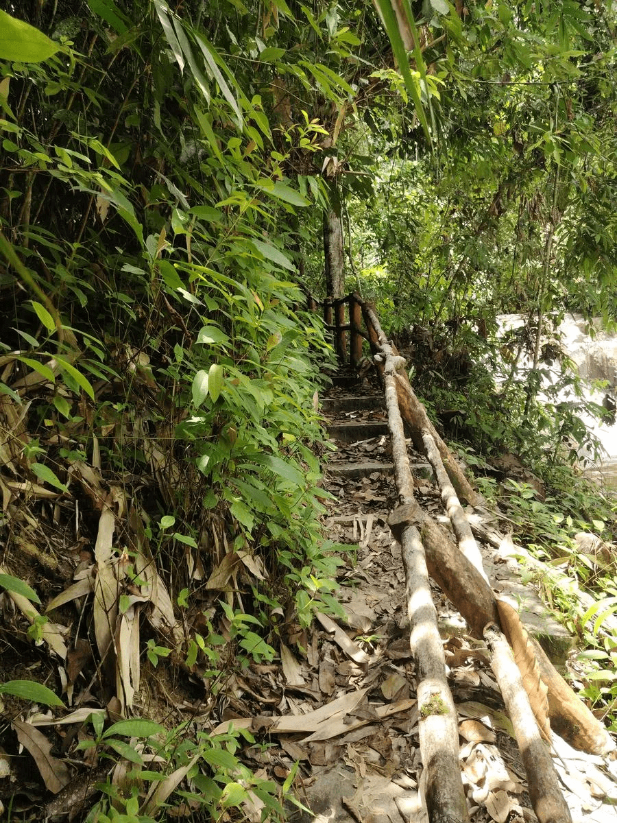 Lata Lembu Waterfall - Image 10