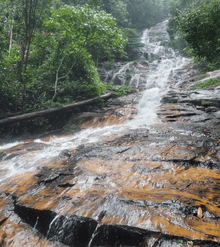 Bukit Unyang - Image 2