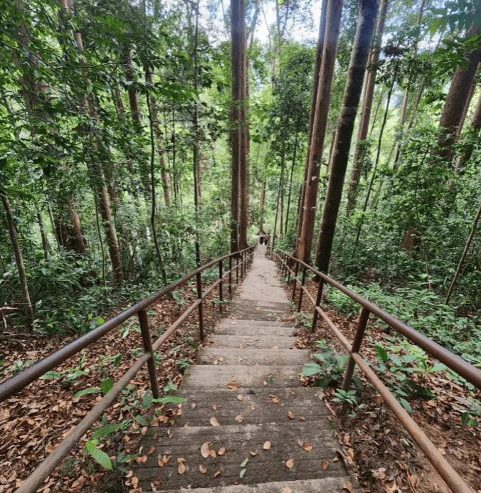 Bukit Unyang - Image 4