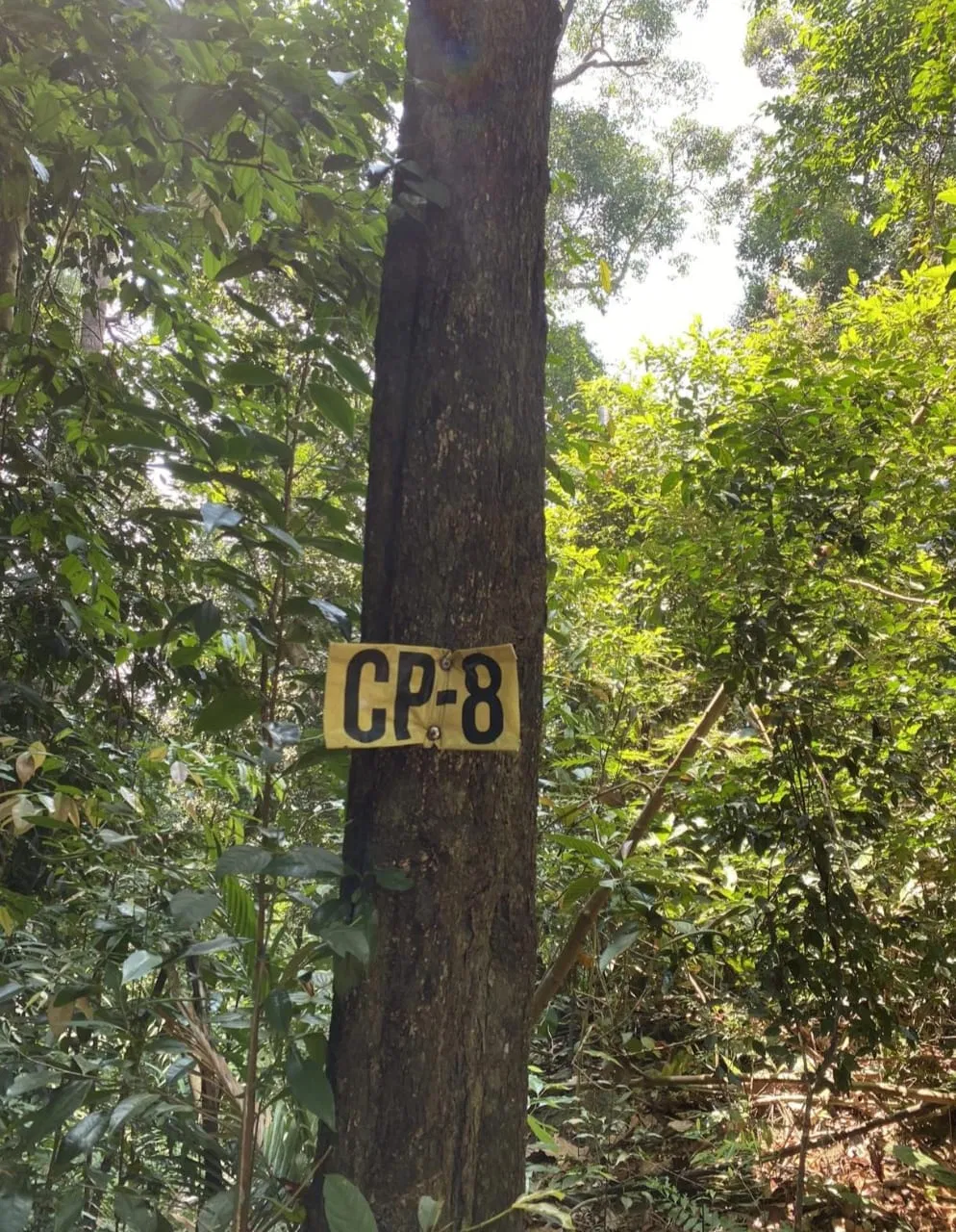 Bukit Baginda - Image 2