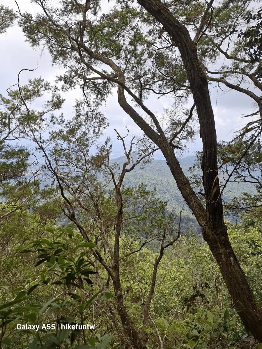 Gunung Jerai via Commando 69 Trail - Image 6