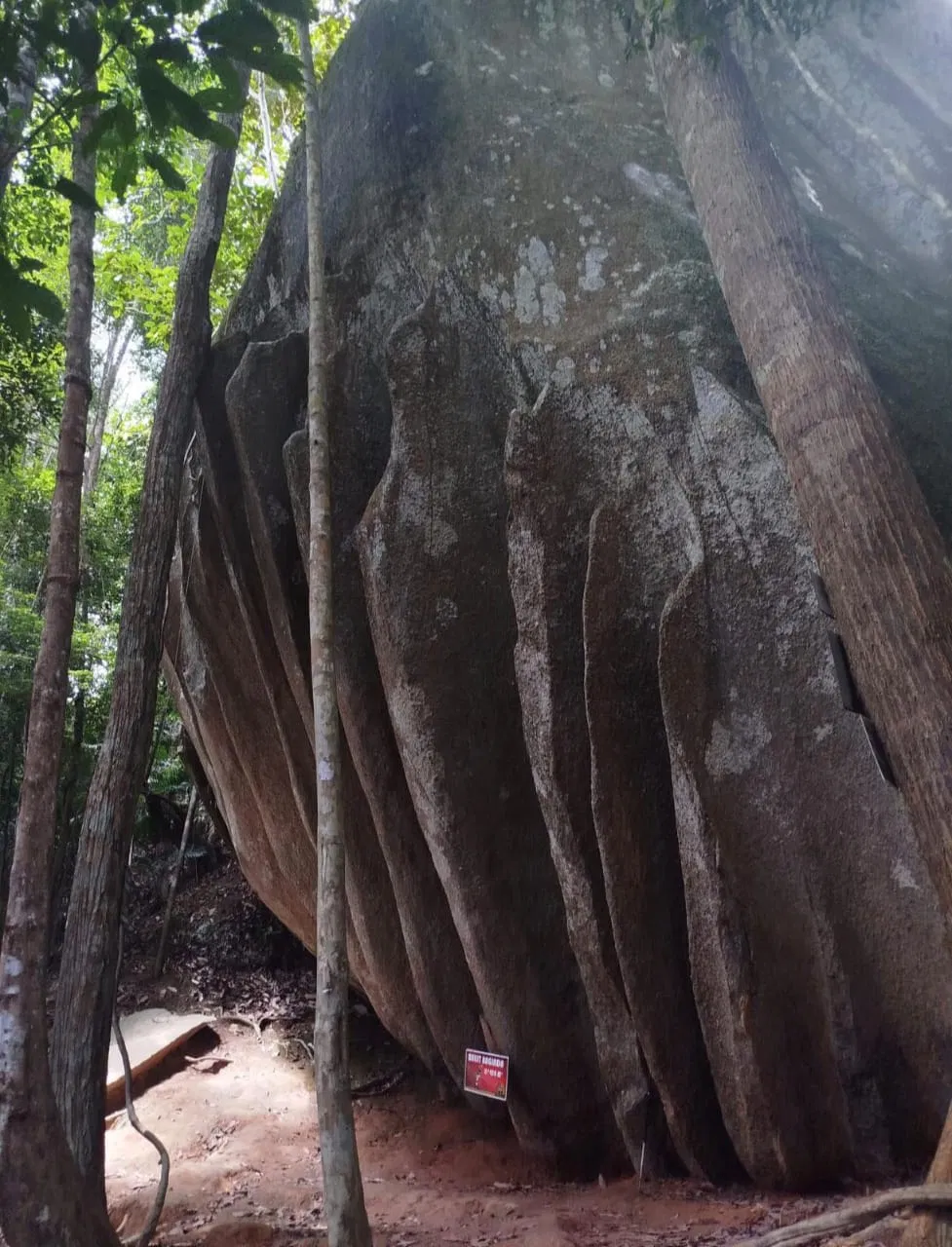 Bukit Baginda - Image 3