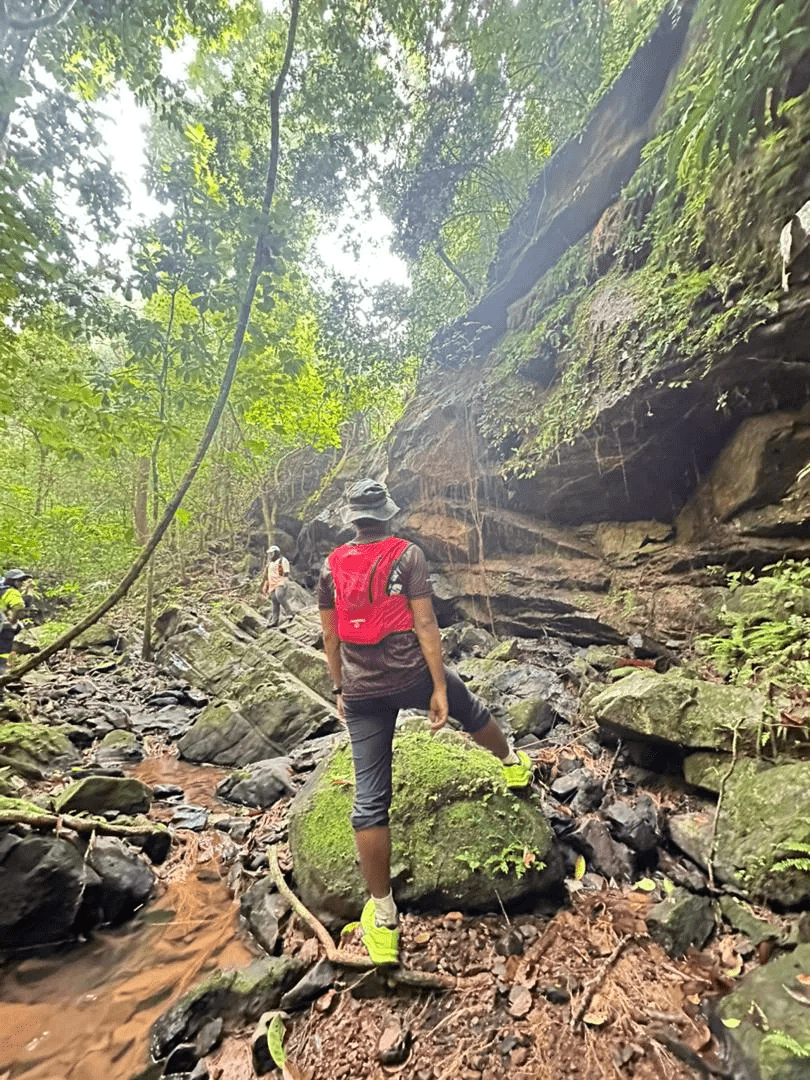 Bukit Saiong - Image 5