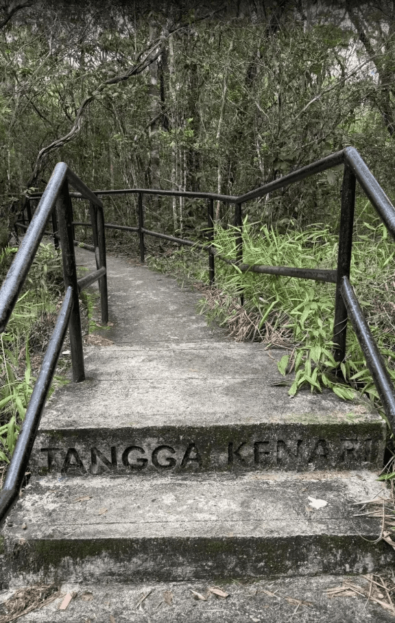 Gunung Jerai via Tangga Kenari - Image 8