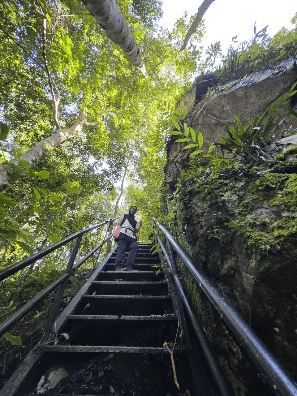 Gunung Jerai via Tangga Kenari - Image 3