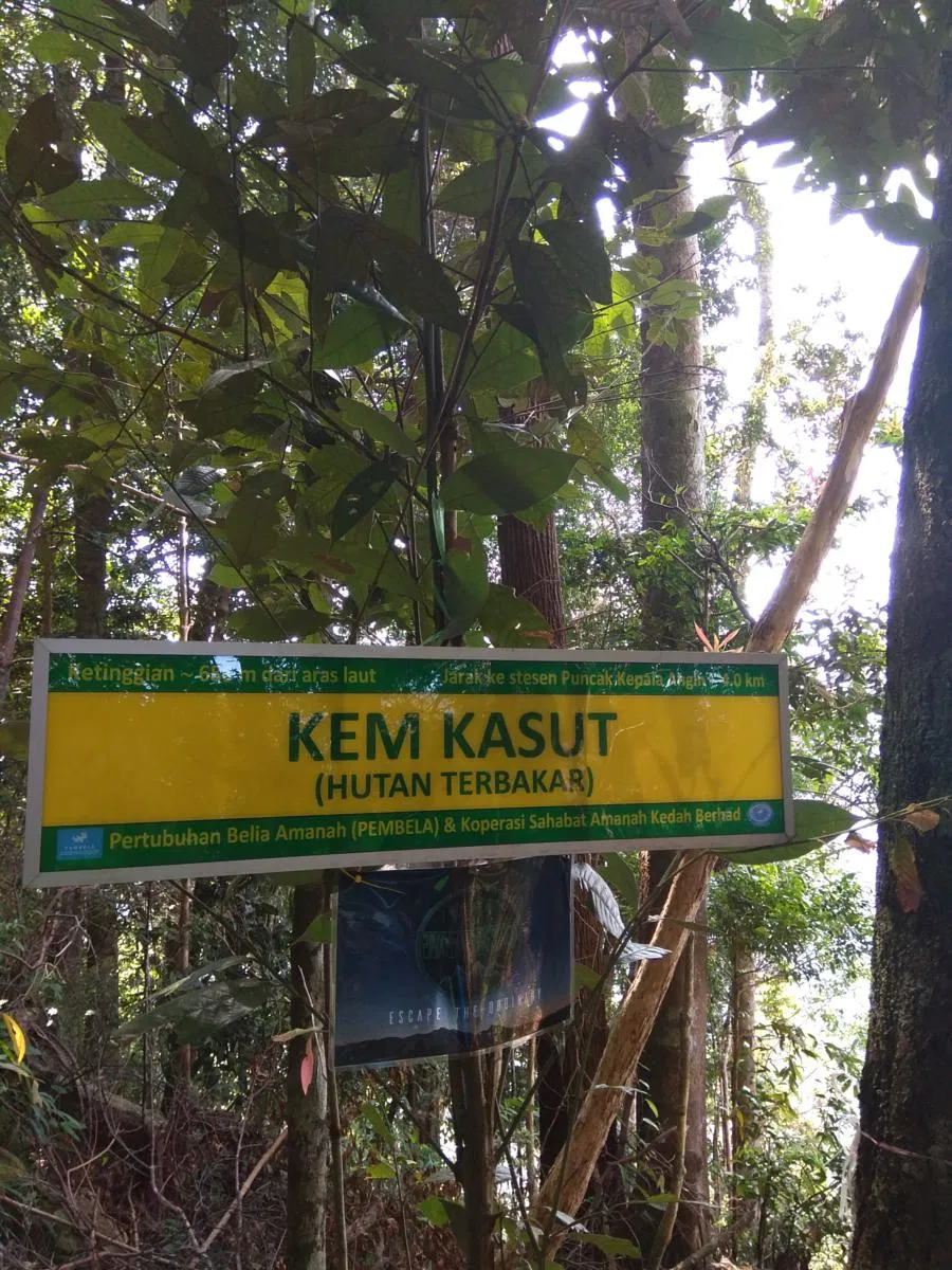 Gunung Jerai via Warisan Trail - Image 8