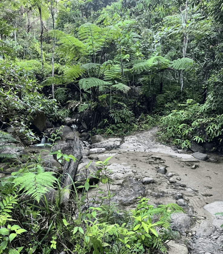 Lata Dinding Waterfall - Image 4