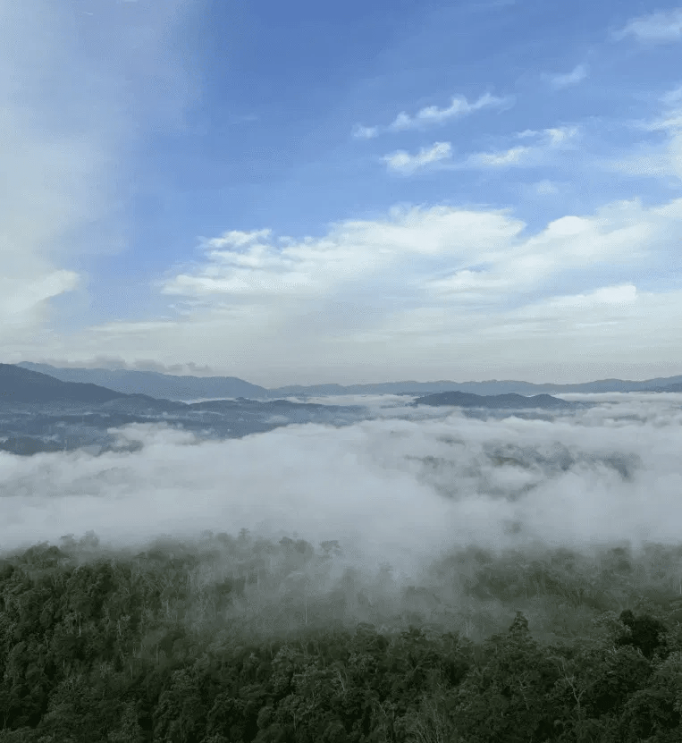 Bukit Batu Sawa - Image 2