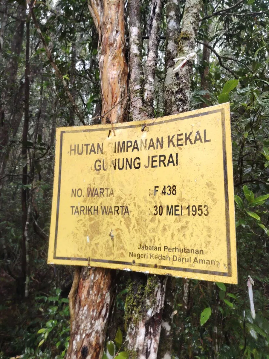 Gunung Jerai via Warisan Trail - Image 6