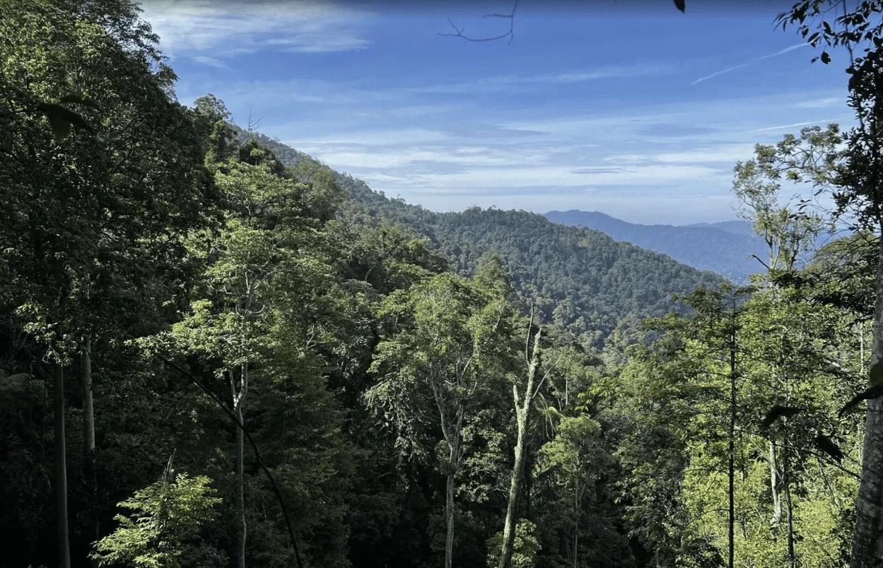 Gunung Hitam - Image 3