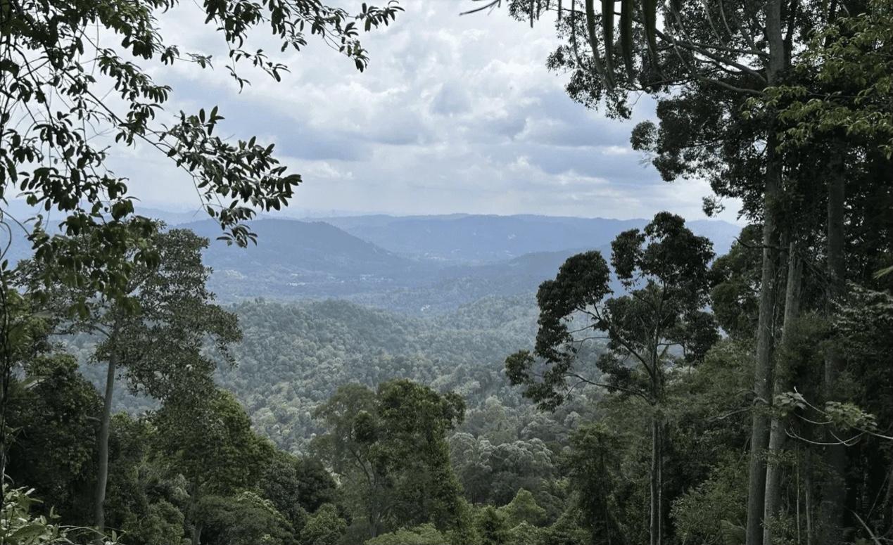 Gunung Hitam - Image 4