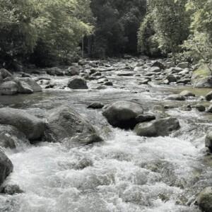 Bukit Kunong