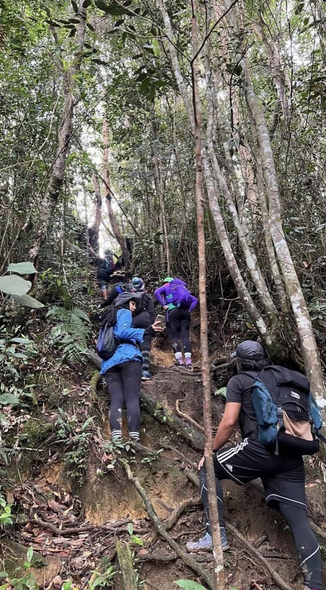 Gunung Gap Gus - Image 4
