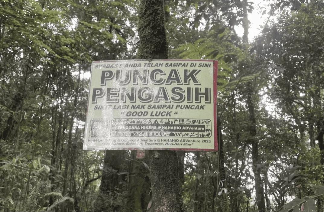 Gunung Nuang via Pangsun - Image 6