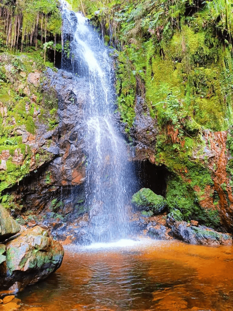 Gunung Jerai via Tangga Kenari - Image 11