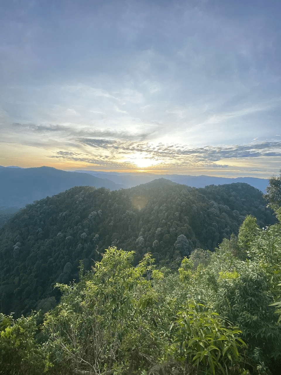 Gunung Kemerlong - Image 10