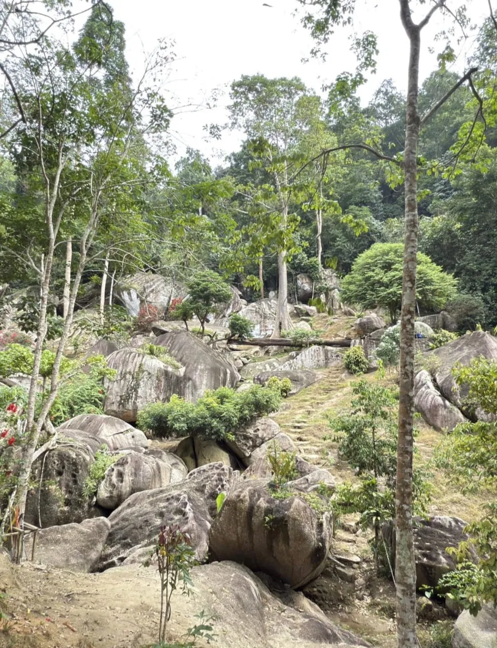Bukit Baginda