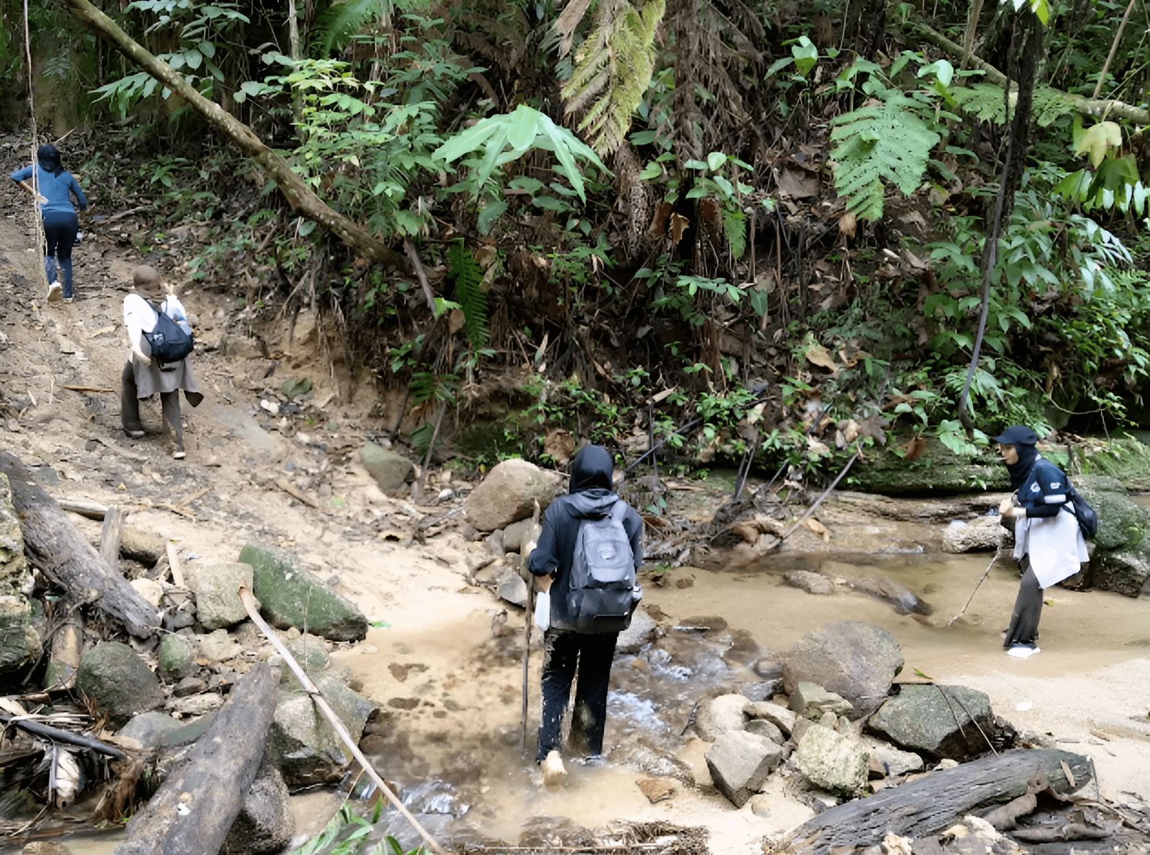 Lata Dinding Waterfall - Image 8