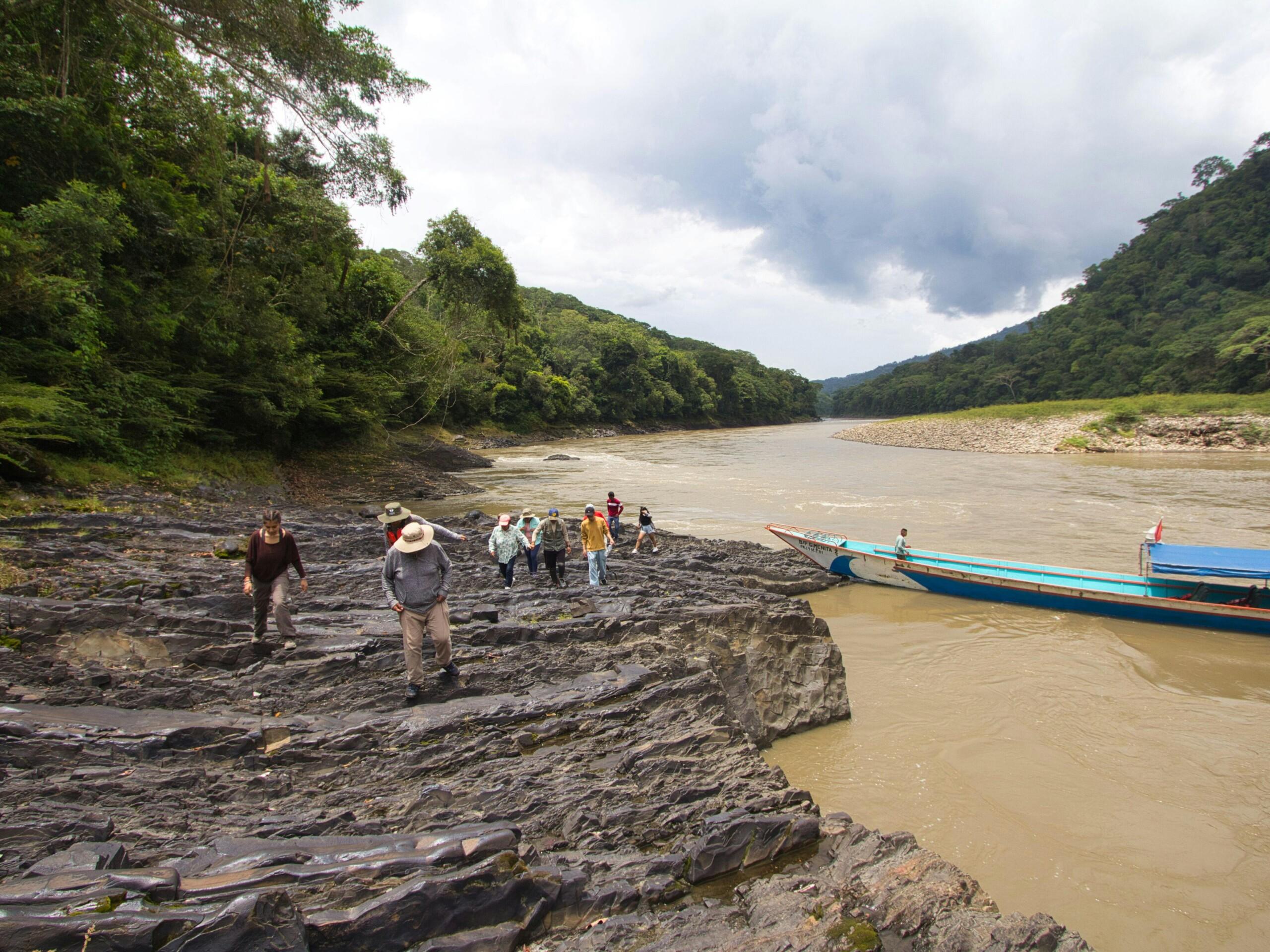 KLIA to Taman Negara (Kuala Tahan) - Rainforest Link (SUV/MPV) TOP