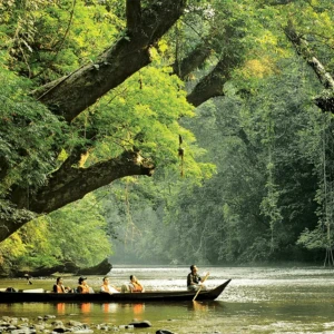 KL to Taman Negara - Rainforest Link (Van)