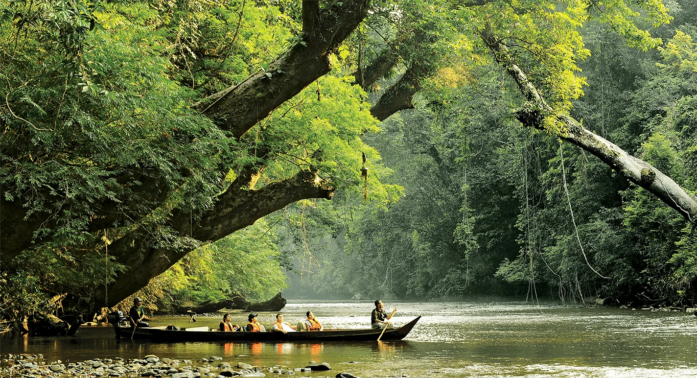 KL to Taman Negara - Rainforest Link (Van)