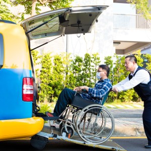 Accessible KL: Senior-Friendly - Van Tour (HOT)