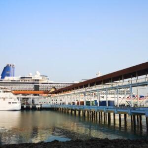 Kuala Lumpur Executive Shore Excursion (SUV / MPV - 3 to 5 Pax)