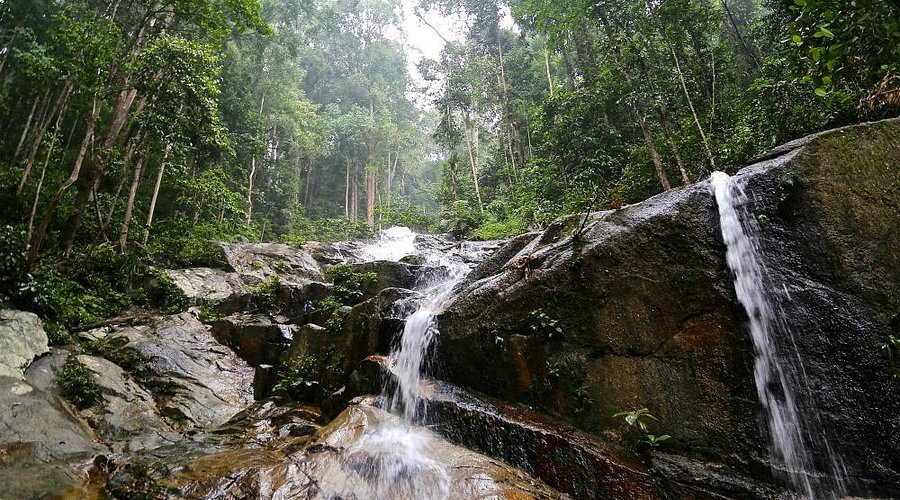 Nature Escape: FRIM and Kanching Waterfall (TRENDY)